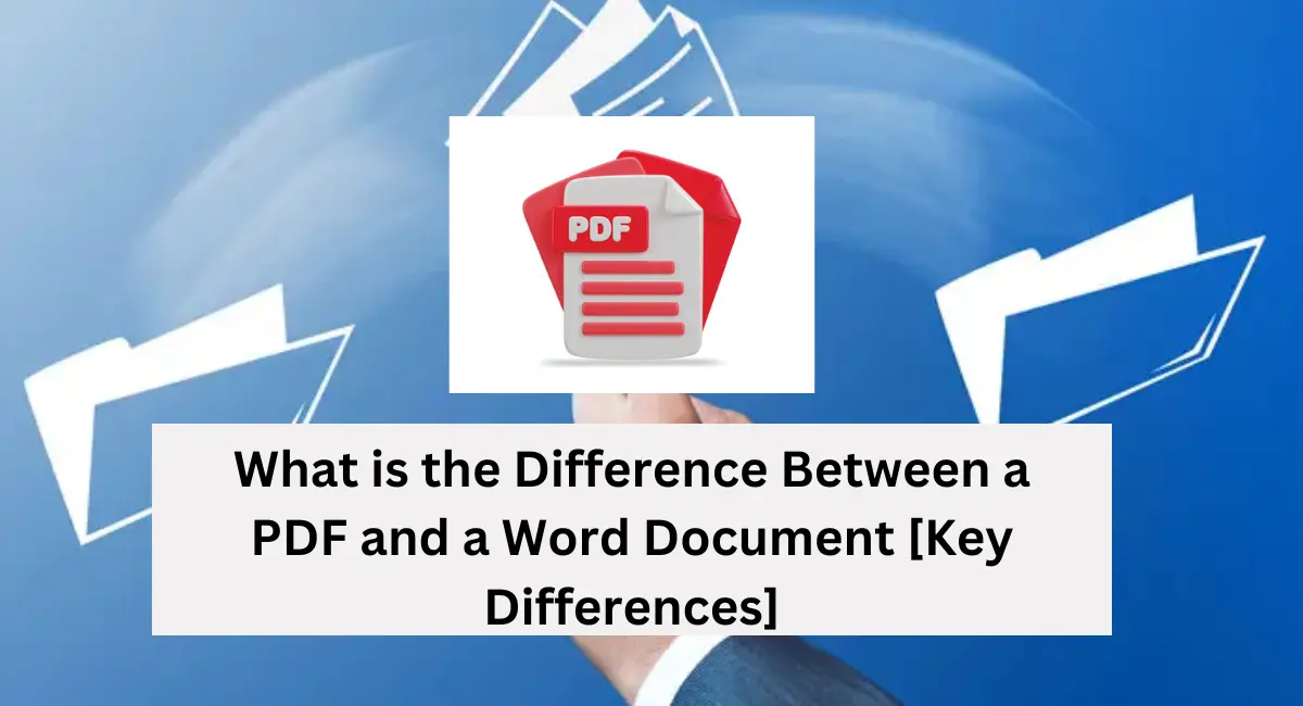 What is the Difference Between a PDF and a Word Document [Key Differences]