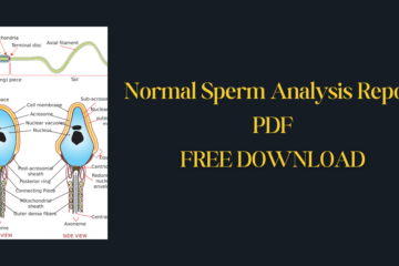 Normal Sperm Analysis Report PDF