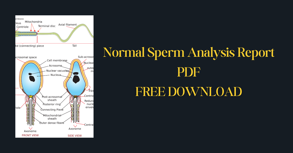 Normal Sperm Analysis Report PDF